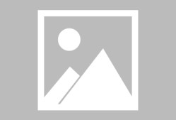 国际比赛日意甲传出新动向，巴黎圣日耳曼外线爆发，管理层表态——质疑声仍在，球队文化再被提及的简单介绍金年会官网